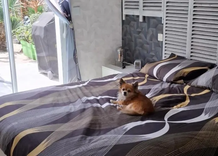 Proche De La Σπίτι διακοπών